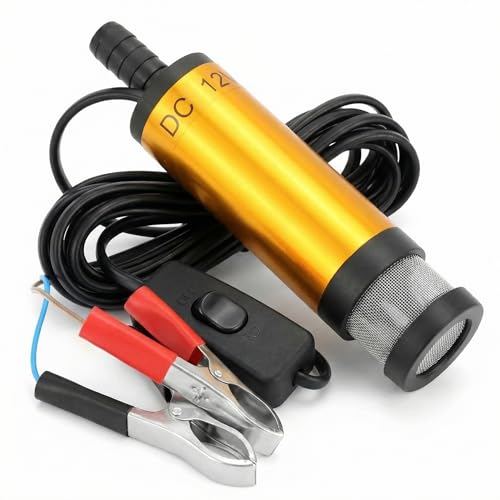 QWORK® 12V Wasserpumpe 38MM, Dieselpumpe mit Clip, Edelstahl, 3M Netzkabel, für Diesel, Kerosin, Wasser