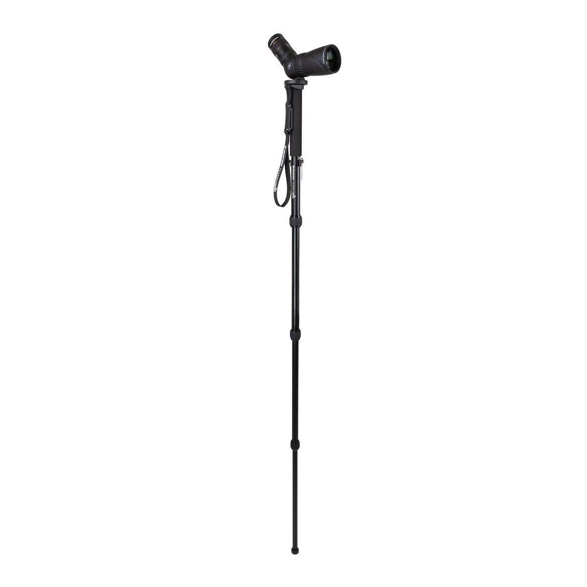 Celestron 82053 Hummingbird monopod, stabilna platforma dla Twojej lunety, lornetki lub aparatu