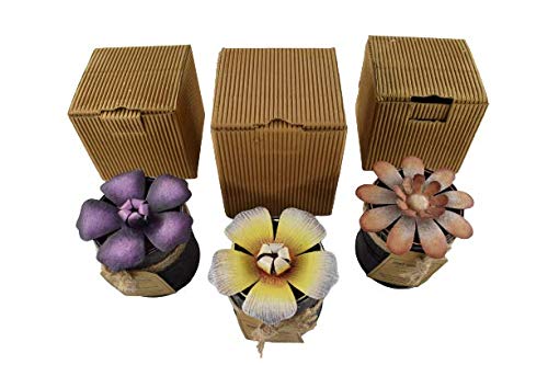 Hand made scented candles in reusable metal jar container with flower leaf designed led - French Vaniila | Peach Grapefruit | Kaffir Lime - (Bali Mantra) (Kaffir Lime)