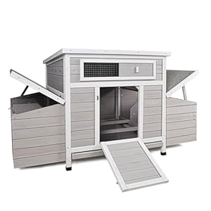 58″ Chicken Coop,Outdoor Large Chicken Coop with 6 Nesting Boxes,Weatherproof Poultry Cage,Removable Tray for Farm, Backyard