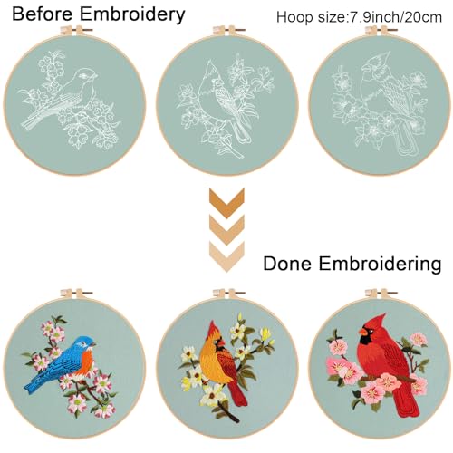 Image of Louise Maelys 3 Sets Bird Embroidery Kits for Beginners,Adults Starter Flower Pattern Cross Stitch Kit DIY Needlepoint Kits with Embroidery Instructions