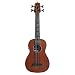 Rumbler Mahogany U•BASS® Rosewood Update