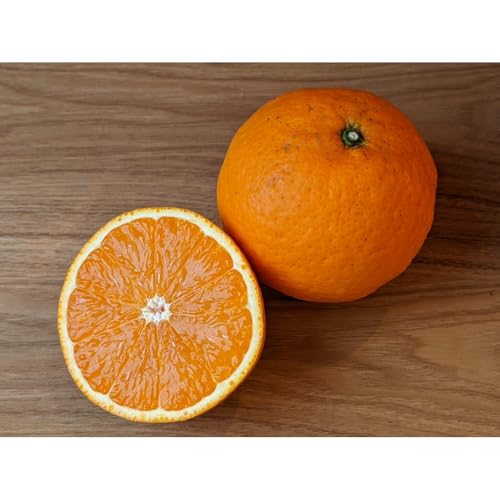 [先行予約]きよみオレンジ 3kg ≪秀品≫[平武農園]〜蛍飛ぶ町から旬の便り〜