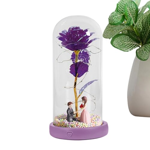 Nuyhadds Flores preservadas en cúpula de cristal | Cadena de luces LED con música | Lámpara de flores eternas artificiales en cúpula de cristal