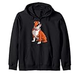Bulldog inglese abbigliamento