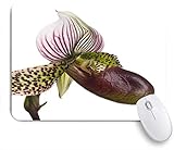 ✹Größe: 240 mm x 200 mm x 3 mm (9.5 l x 7.9 B x 0.12 Zoll).