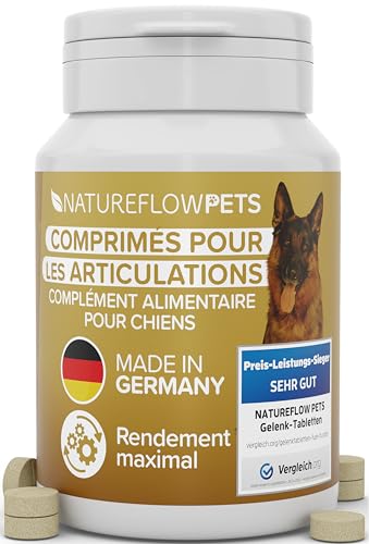 Complément Alimentaire Arthrose Chien Produit PRIMÉ 2024 - Comprimés Anti-Arthrose Articulations avec Poudre de Moule Verte Chien, MSM, Griffe du Diable, Glucosamine, Collagène, 100 Comprimés