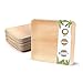BIOZOYG Palmware Hochwertiges Palmblattgeschirr I 50 Stück Palmblatt Teller rechteckig 23 x 23 cm I Bio Einweggeschirr biologisch abbaubar Partygeschirr Einmalgeschirr Wegwerfgeschirr