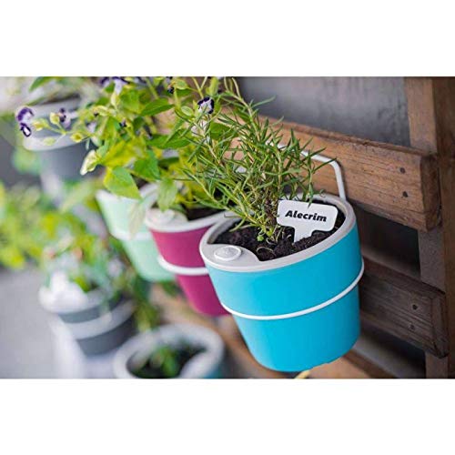 Kit Plaquinha Identificador de Plantas Vaso Cartela Papel