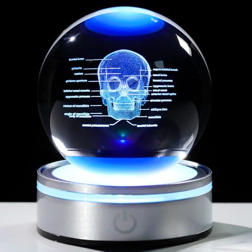 Image of Arikyrist Crystal 3D Human Skull Figurine 3.15 in. Ball Gifts for Him Her | Skeleton Anatomical Mini Model, Colorful Light Base, for Neurologist Psychologist Doctors, Graduation Gifts, Medical Students