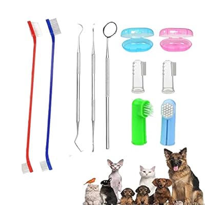 Dog Tooth Brushing Kit,Pet Toothbrush Kit,Silicone Finger Toothbrush,Long Handle Double-Headed Toothbrush,Metal Tool Included,Professional Tooth Cleaning Kit for Pets(11Pcs)