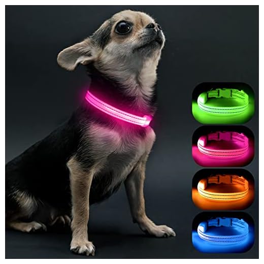 Visinite Collar Luminoso Perro, Collar Luz Perro para La Oscuridad, Nightcollares Luminosos para Perros Recargable a Prueba de Agua, Glow In The Dark Dog Light Up Collar para Caminar,Rosa,S