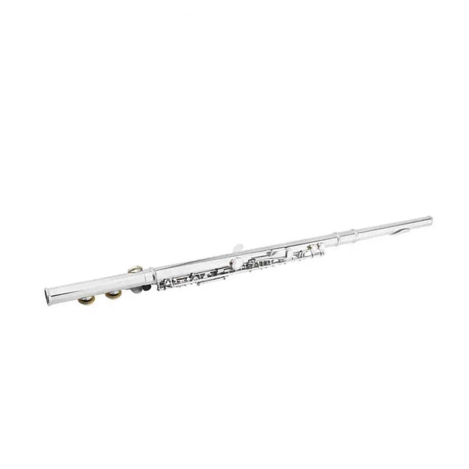 Flauto Traverso Professionale Per Principianti Placcato Argento A 16 Fori Flauto Standard