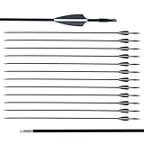 LWANO 28' Fiberglass Arrows - Archery Practice Target Arrows with Blunt Tips Durable Shaft for Youth Kids...