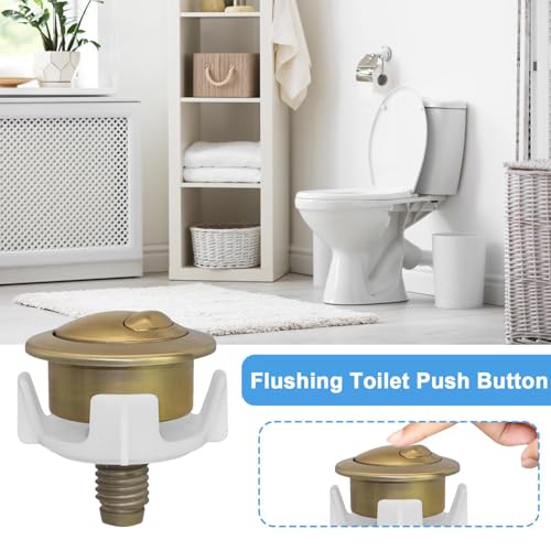 Botón del inodoro moderno de doble descarga para baños de hogar y pisos 8