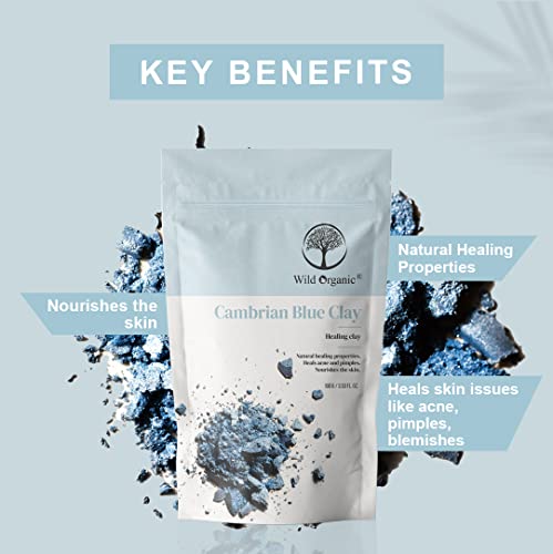 Wild Organic Cambrian Blue Clay Powder Healing Clay, Reduces Blemishes and Marks, Reduce Acne & Pimples, Nourish the skin and constructively heal skin For Men & Women 100gm