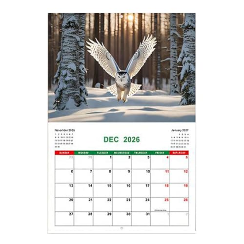 tNEJ_[ 2026 | tNĚԕǊ|J_[ - 2026N1~12 傫ȌrubNÄفAwZAEAvXPW[̃vi[B