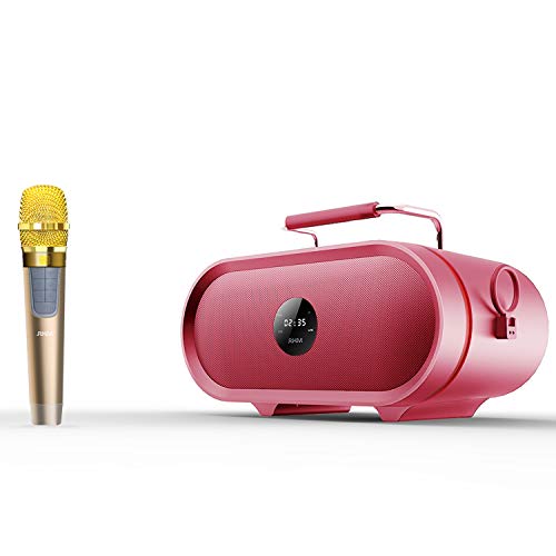 RHM Karaoke Machine,2 Wireless Microphones,Rechargeable Battery Speaker,Portable PA Speaker System with Bluetooth/AUX/USB/SD for Home,Party,Wedding,Picnic Outdoors&Indoors Activities
