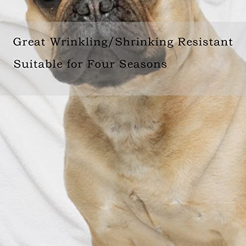 Kids Throw Blanket For Sofa Couch, Beautiful French Bulldog, Soft Cozy Warm Bed Blankets Gift For Adults Girl Boys 50 X 60 In #TOP3
