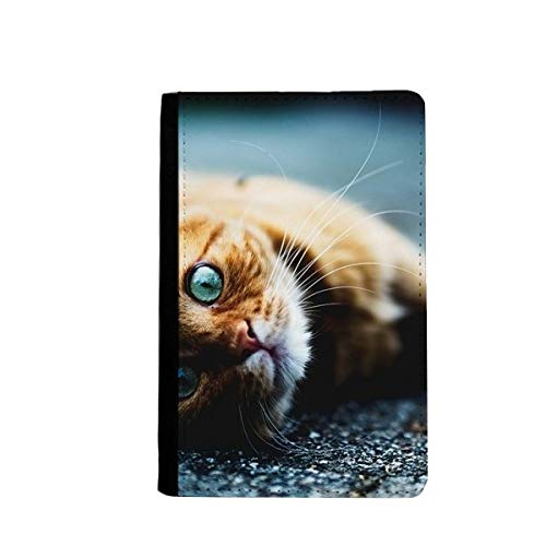 Étui portefeuille de voyage chat œil bleu pochette passeport femme