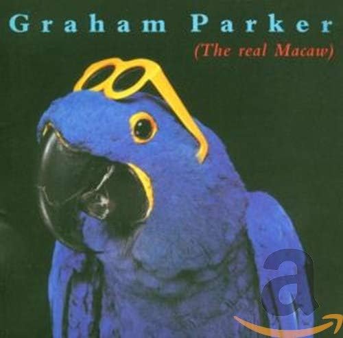 The Real Macaw