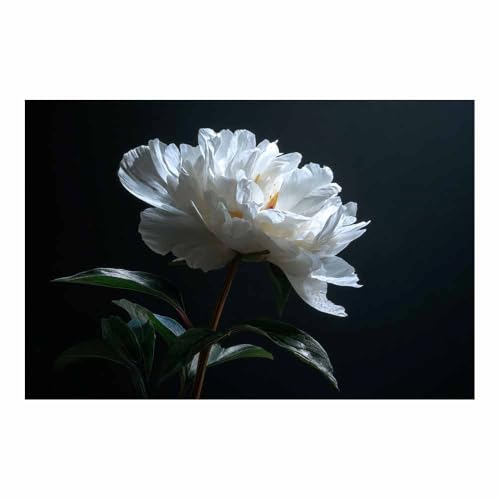 Toile abstraite florale moderne DunPei pour sublimer la décoration murale du salon