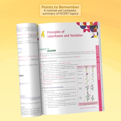 Image of Xam idea Biology Class 12 - (CBSE 2026-27) | Mind Maps | Solved NCERT | Solved PYQs | MCQs, A-R, Case-based, VSA, SA, LA Questions | Solved 2026 CBSE Examination & Sample Papers