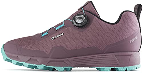 Preisvergleich Produktbild Icebug Rover W RB9X GTX Dust Plum / Mint 38