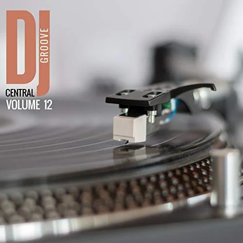 Dj Central Groove Vol, 12