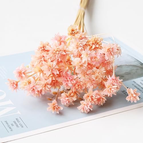 100 piezas Mini flores secas decorativas brasileñas miniatura 3