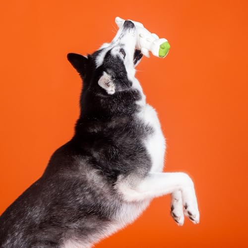 Fringe Studio Latex Dog Toy, HERE to Gauze Trouble PetShop Collection (366043)