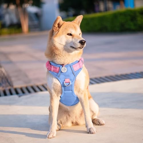 No Pull Dog Harness Reflective Adjustable Puppy Vest with Handle | Baby Blue Base & Pink Straps,M, Quick-release at Neck, Front & Back Leash Hooks,Breathable Mesh, for Small Medium Large Dogs - Image 6