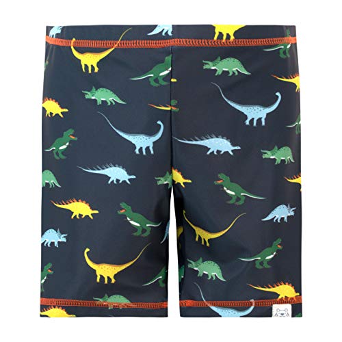 Image of Harry Bear Boys' Dinosaur Two Piece Swim Set