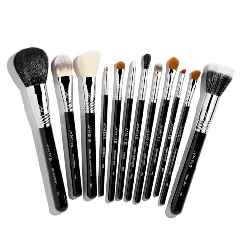 Sigma Twelve-Piece Brush Set