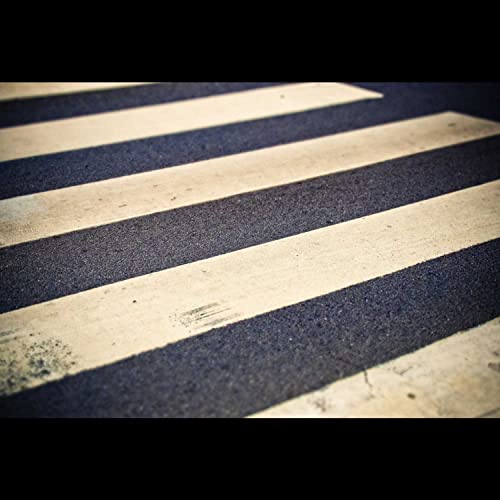 Chapter 10. A black and white world (Vikrant)