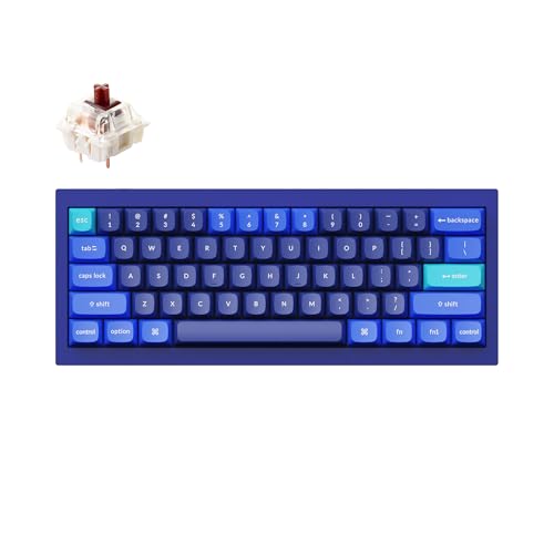 Keychron Q4 �L�� �J�X�^�� ���J�j�J�� �L�[�{�[�h QMK/VIA �v���O���}�u�� �}�N�� �t���A���~�j�E�� �z�b�g�X���b�v�\ Gateron G Pro �u���E���X�C�b�` 60%���C�A�E�g �_�u���K�X�P�b�g Mac��Windows�ɑΉ� -