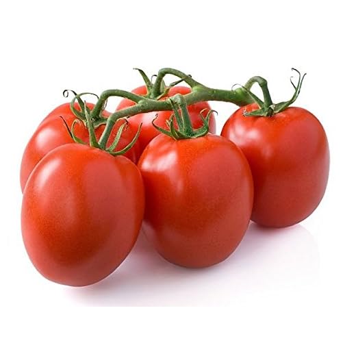 30+ Italian Roma Tomato Seeds, Heirloom Non-GMO, Determinate, Open-Pollinated, Old-Fashioned Taste, Smooth, Sweet, Delicious, from USA