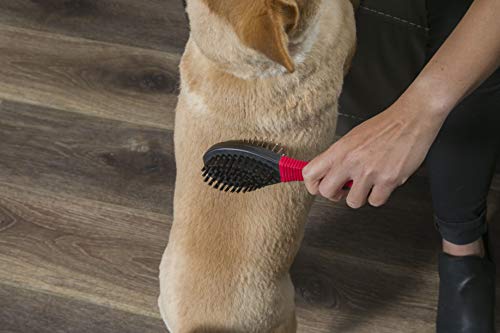 FURemover Grooming Brush & Comb Set, Suitable for All Coats, Includes One Flea Comb and One Dual-Sided Brush with Soft… - Image 6