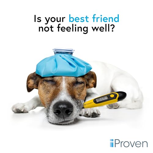 image for iProvèn iProven Pet Thermometer (Termometro) for Accurate Fever Detec