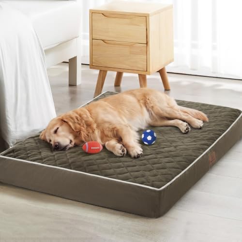 WNPETHOME Orthopedic Waterproof XL Dog Bed for Crate Cozy Sleep