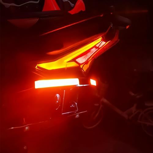 Support de plaque d'immatriculation Z1000 pour balades moto