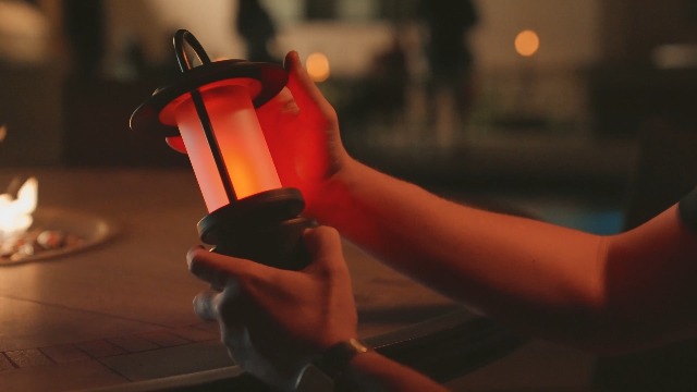 Amazon.com: FoxFlame Classic Solar Path Torch - Elegant Flickering