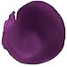 Maybelline New York Superstay 24, 2-step Lipcolor, All Day Plum,0.64 Fl Oz (Pack of 1),041554494990-1a