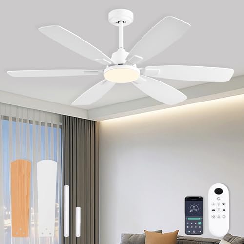 Ayaoty Ceiling Fans with Lights, 52 Inch Ceiling Fan with Light and Remote, 3CCT Dimmable, 6 Speed Reversible DC Motor,6 Blades Modern White Ceiling Fan for Bedroom, Indoor/Outdoor Use