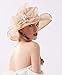 ORIDOOR Women’s Organza Church Tea Party Wedding Fascinator Hat UV-Anti Wide Brim Sun Hats(C Khaki) …