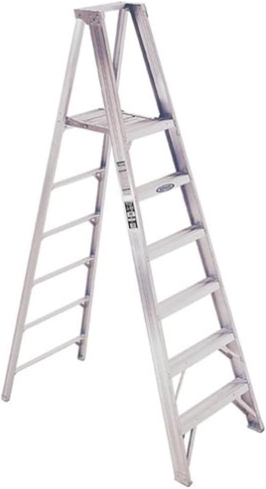 Werner P406 375Pound Duty Rating Type IAA Aluminum Platform Ladder, 6