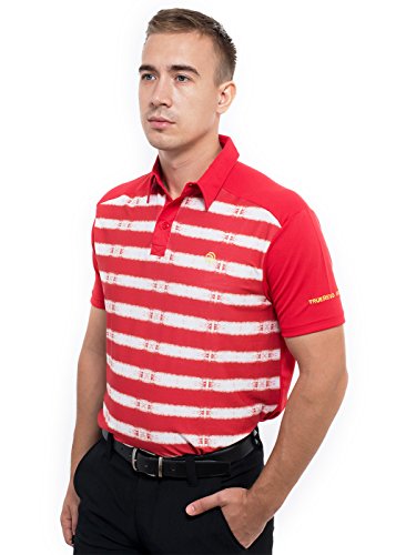 Image of TRUEREVO Sports Stretchy Dryfit Striped Golf Collar Tshirt for Men