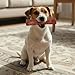 Fieldcrest Farms Nothin’ to Hide Collagen & Bully Small Rolls, 5 Inch, Beef Bully Flavor, Highly Digestible Chews that Support Skin, Coat, Joints & Muscles, for Moderate Chewers Under 35 Lbs, 2 Pack