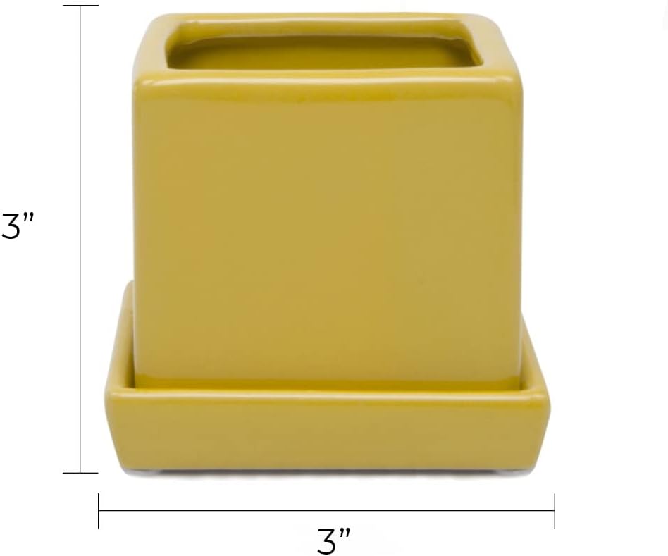 CHIVE - 3 Piece Set Square Succulent Cactus Planter Pot, 3 Inch Ceramic Flower Plant Container, Drainage Hole/Saucer, Mini Pot Indoor/Outdoor Garden (Goldenrod)