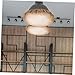 Yardenfun Lamp Shade Diffuser Cover for Pendant Lights and Chandeliers Brown Light Shading Tool Easy to Install Lamp Bottom Cover for Bedroom Living Room Study Use